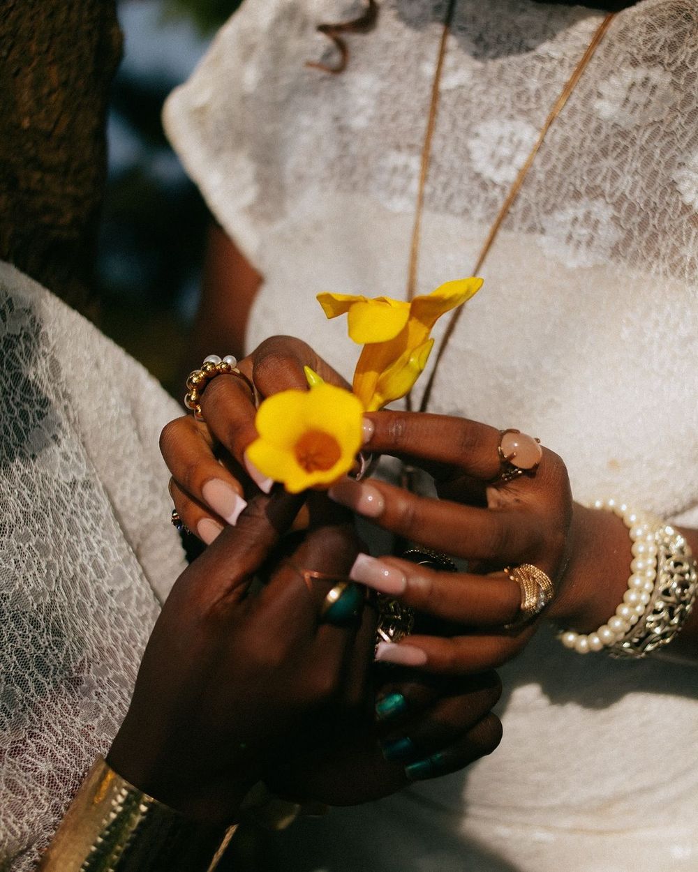 Hands with gold rings and pearl bracelets holding a yellow flower against white lace